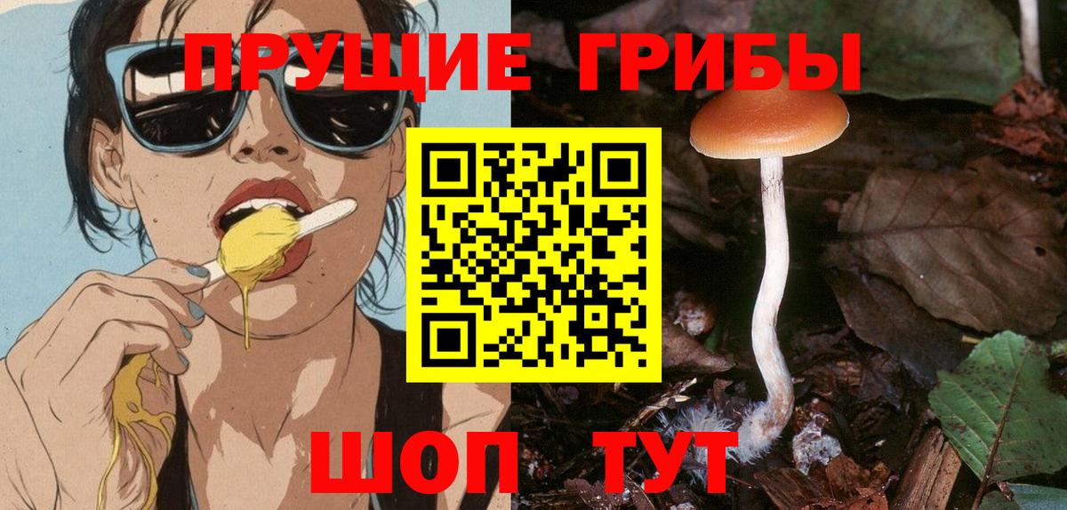 Псилоцибиновые грибы GOLDEN TEACHER Клинцы